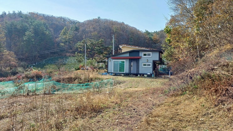 迅果首页-高效官网处理专业工具下载移动优化